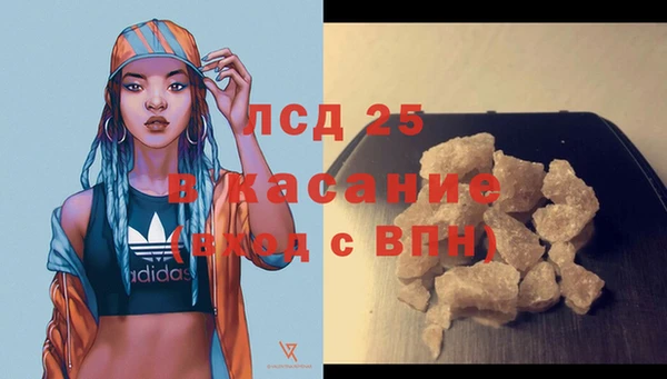 ешки Богданович