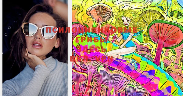 индика Приозерск