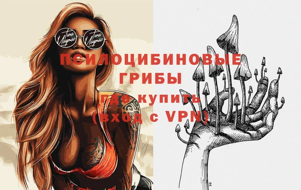 индика Приозерск