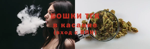 сатива Богородицк