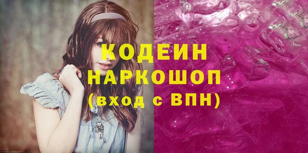 индика Приозерск