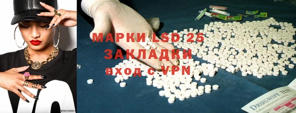индика Приозерск