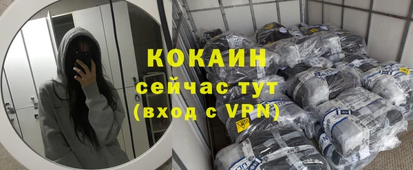 ешки Богданович