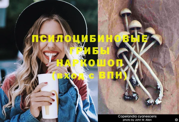 сатива Богородицк